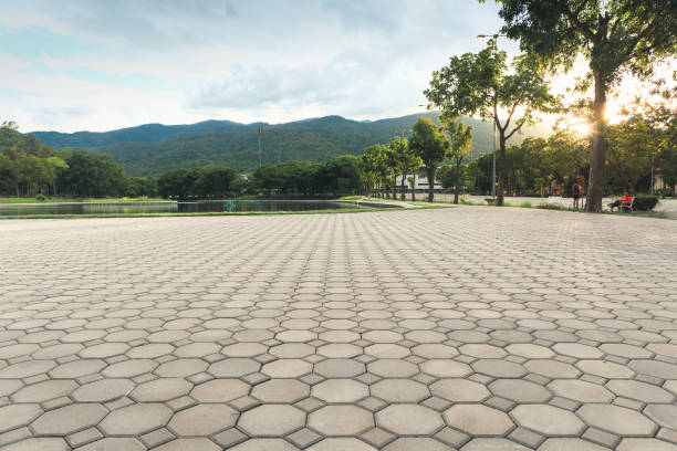 Best Custom Driveway Pavers  in Mineralwells, WV